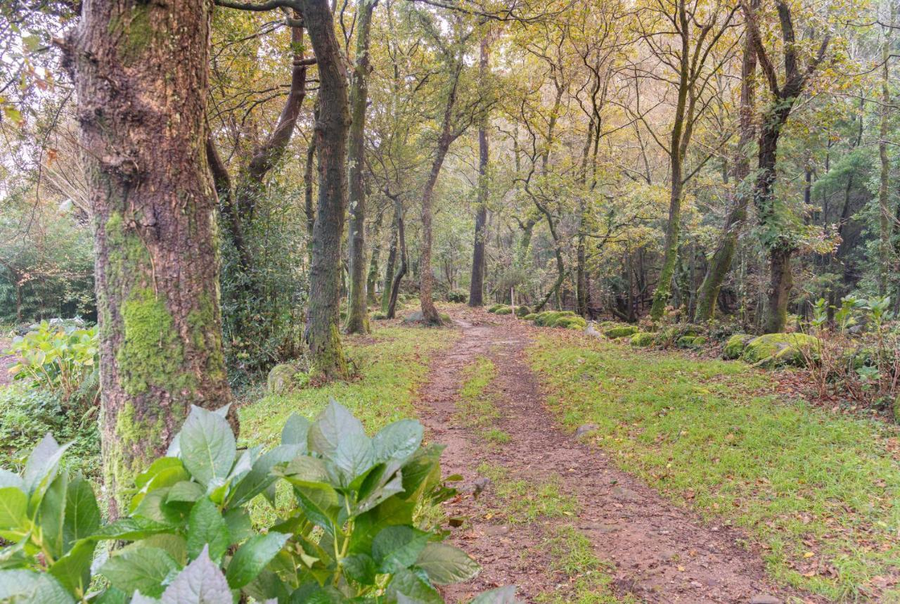 Entre Os Rios - Casa Rural Y Enoturismo A Pobra do Caramiñal Eksteriør billede