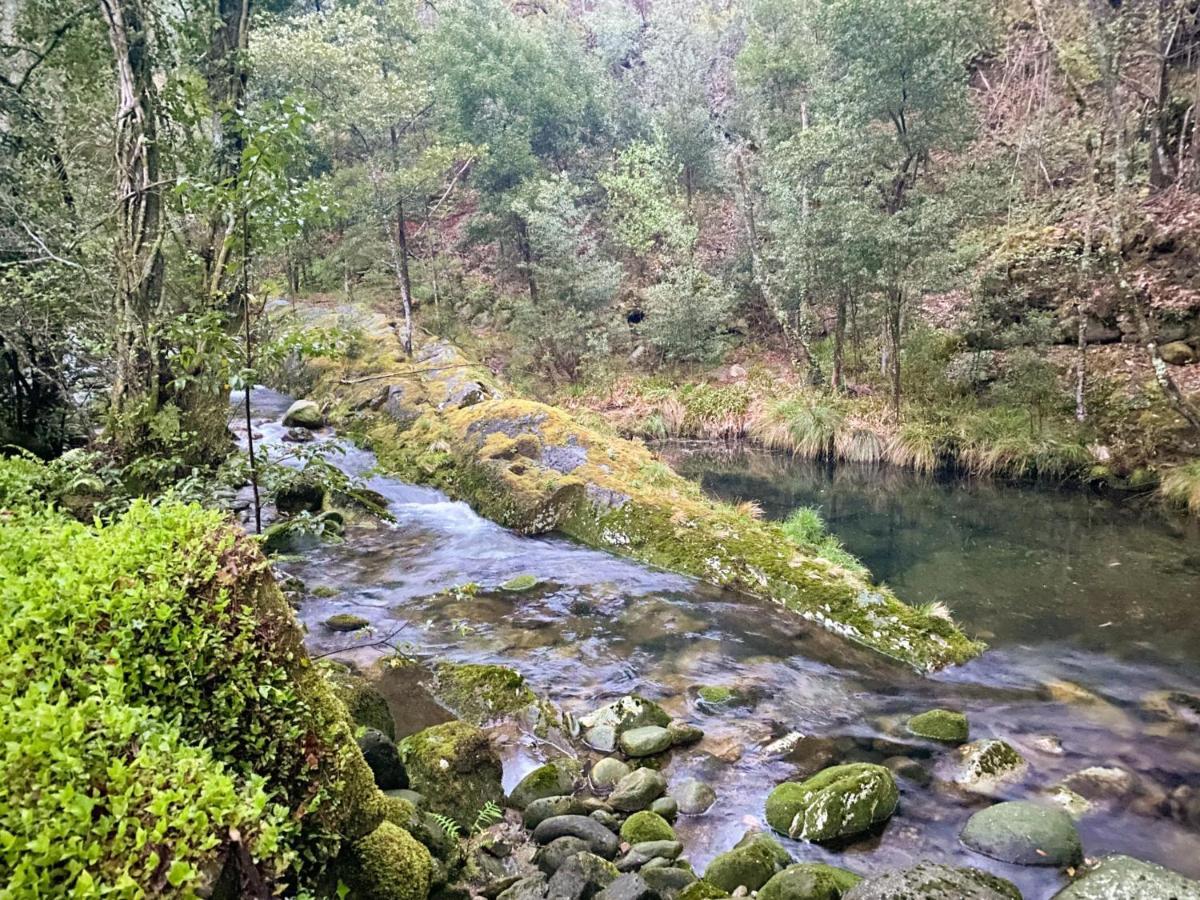 Entre Os Rios - Casa Rural Y Enoturismo A Pobra do Caramiñal Eksteriør billede